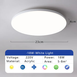 Waterproof Dustproof LED Ceiling Light