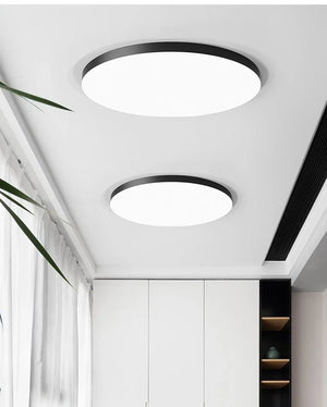 Waterproof Dustproof LED Ceiling Light