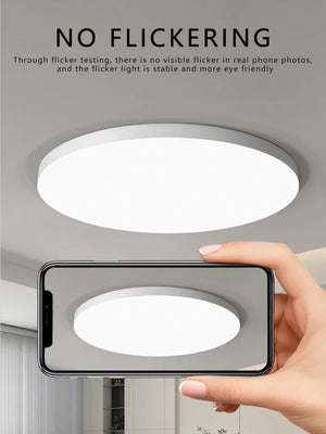 Waterproof Dustproof LED Ceiling Light