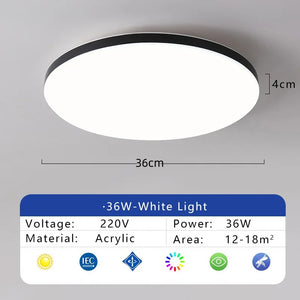 Waterproof Dustproof LED Ceiling Light