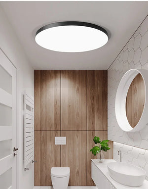 Waterproof Dustproof LED Ceiling Light