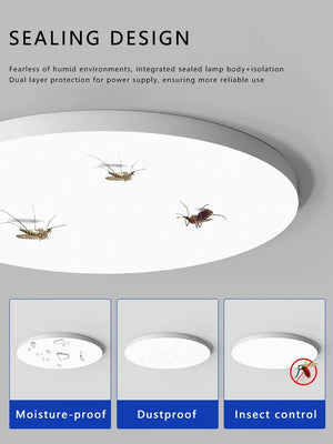 Waterproof Dustproof LED Ceiling Light