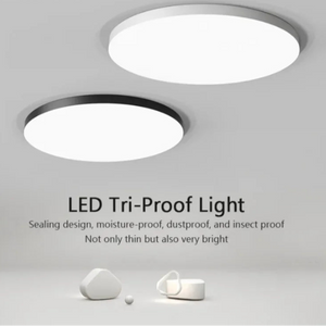 Waterproof Dustproof LED Ceiling Light