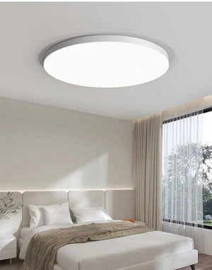 Waterproof Dustproof LED Ceiling Light